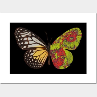 Mutualism of Butterfly Posters and Art